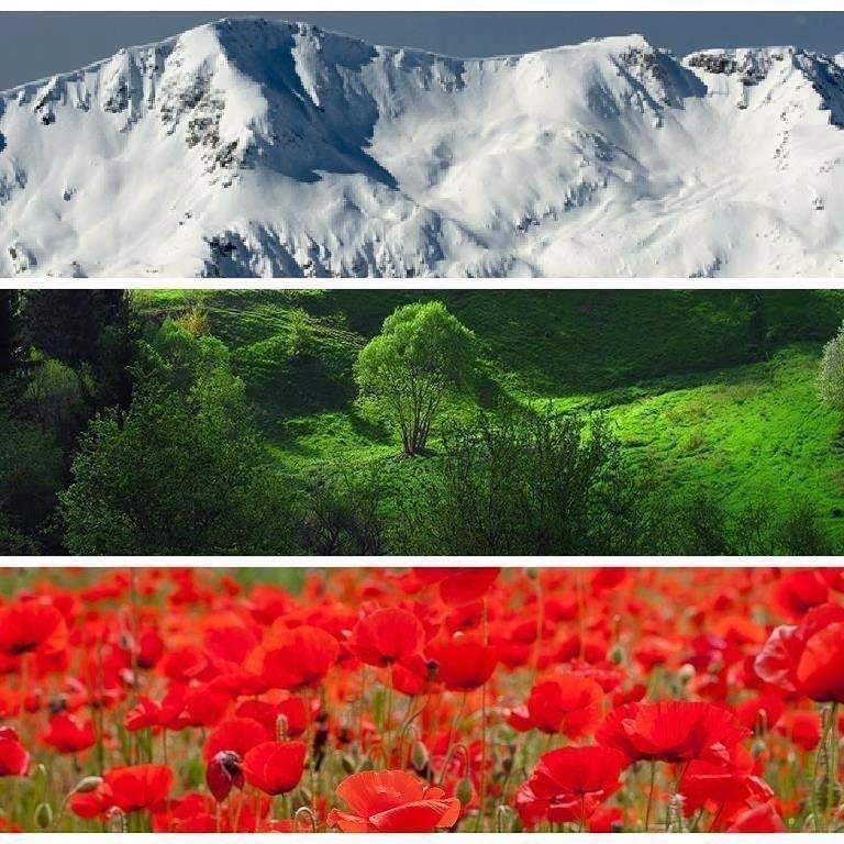 Апартаменти Ковачева Bansko Extérieur photo